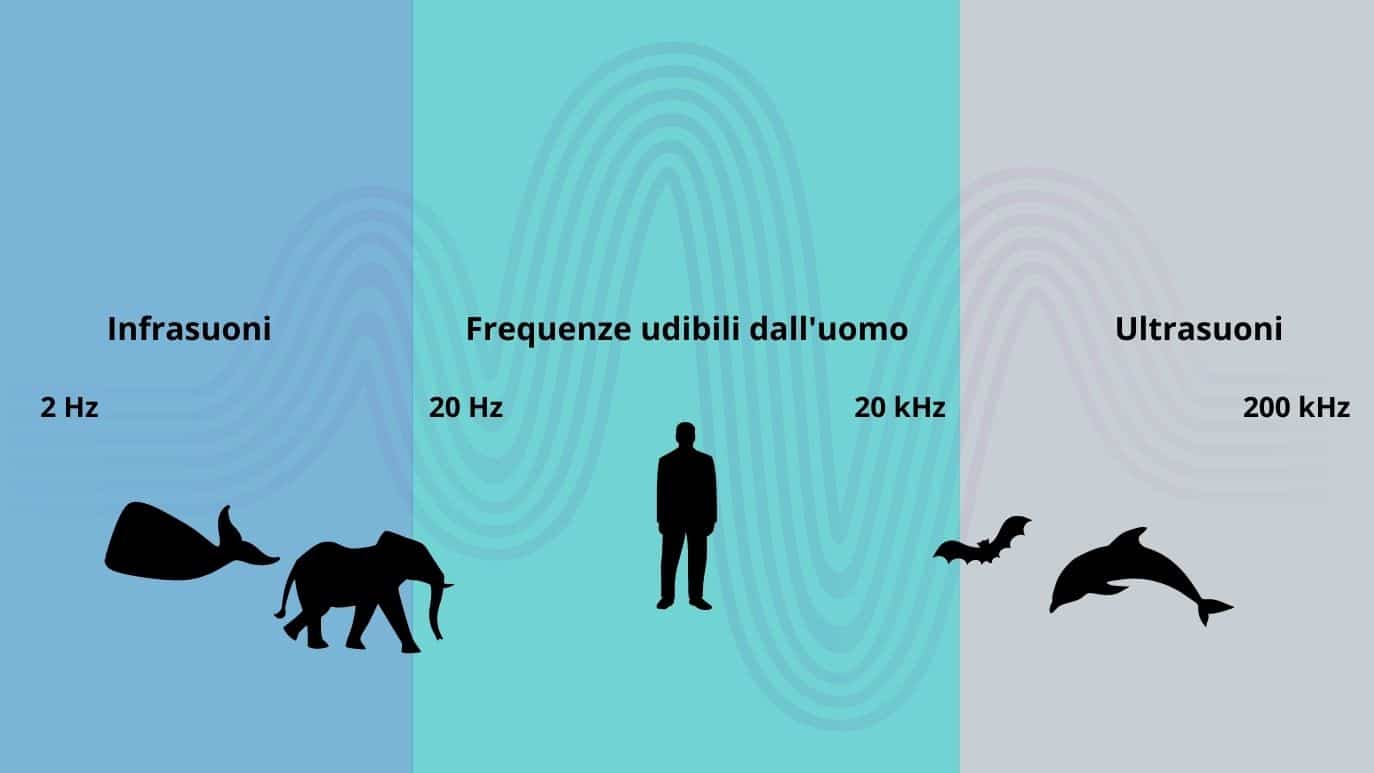 Intervallo delle frequenze udibili dall'essere umano